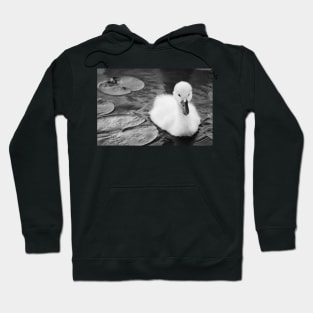 "Baby Swan" - Black & White Hoodie